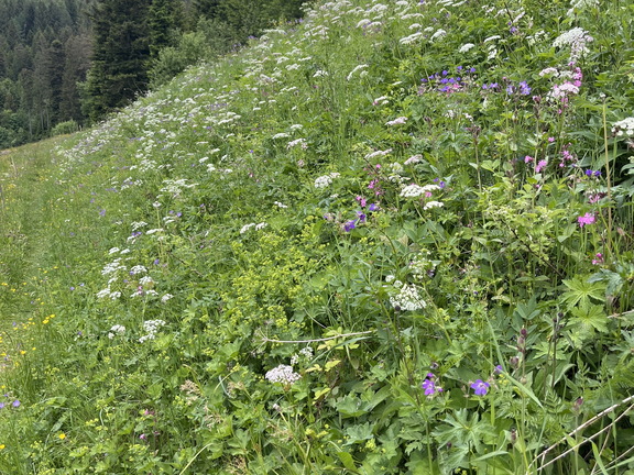 22-05-29 15-01-48 0995